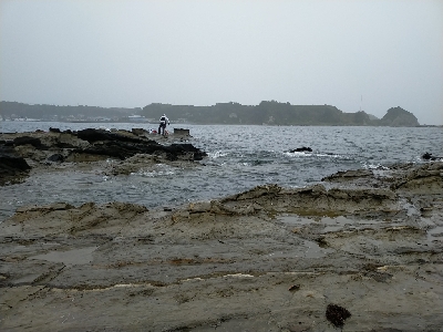 ショアジグサビキで小サバ