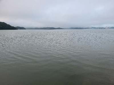 今日も色々釣れました