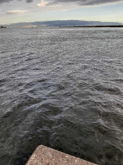 やっぱりサバしか釣れない