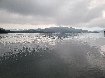 久しぶりのマゴチ