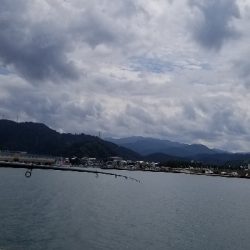 アコウ ガシラ キス 五目釣り