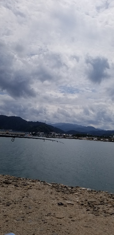 アコウ ガシラ キス 五目釣り