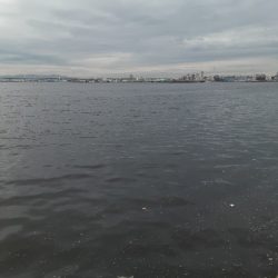 タチウオ渋い！？