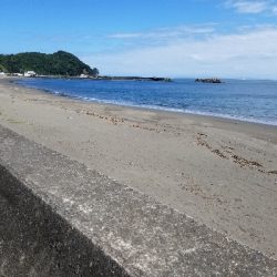 過去最大サイズ!