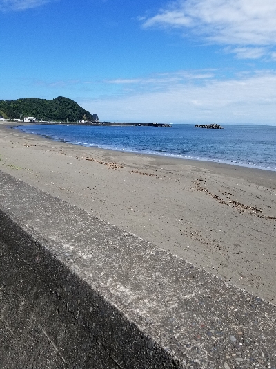 過去最大サイズ!