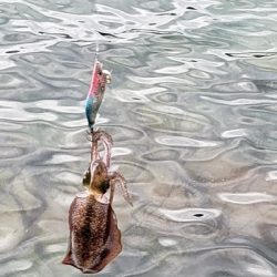 台風後だが行ってみた！