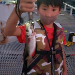 のませでガシラが釣れました