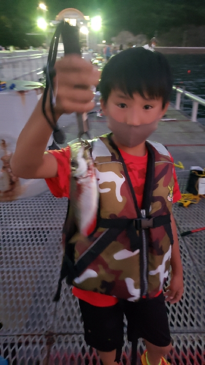 のませでガシラが釣れました