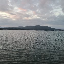 小さいサイズでした