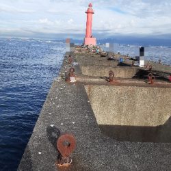 沖堤で青物狙い