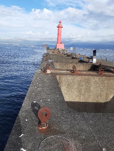 沖堤で青物狙い