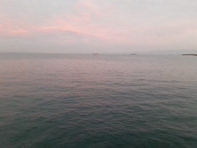 泉大津エリア、タチウオ&青物調査