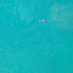 久しぶりの早朝エギング