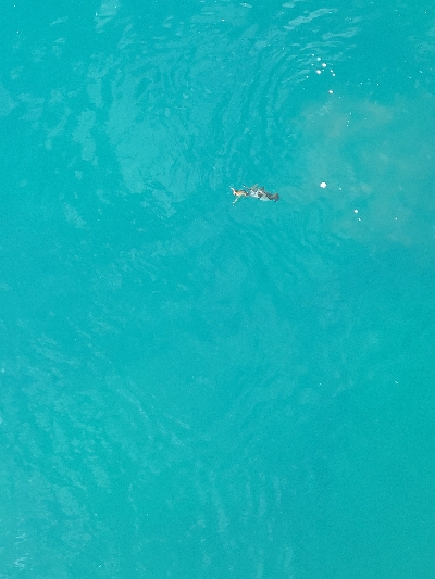 久しぶりの早朝エギング