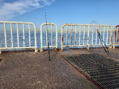 大鯖狙うも中鯖