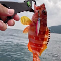 レンタル手漕ぎボート