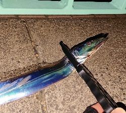 タイミング次第かな