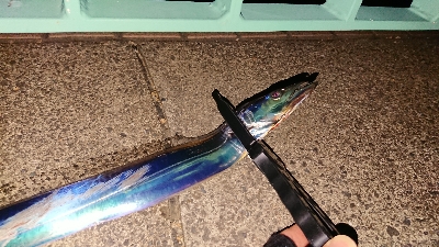 タイミング次第かな