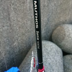 青物は釣れる時に釣らんとね