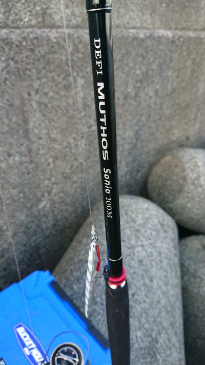 青物は釣れる時に釣らんとね