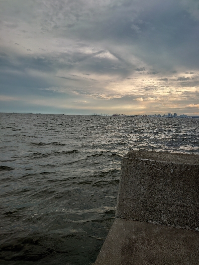 ライトショアジギング