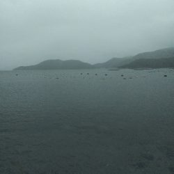 室津のキス釣り