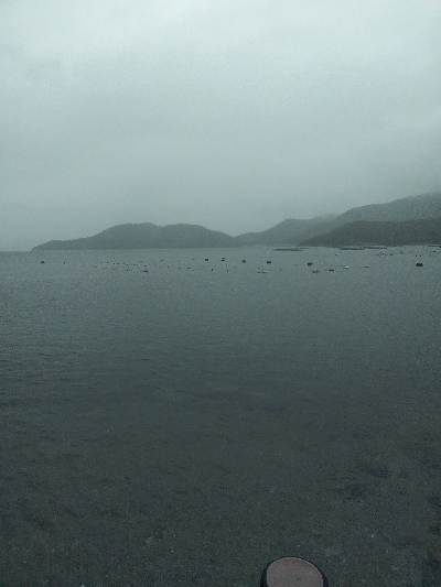 室津のキス釣り