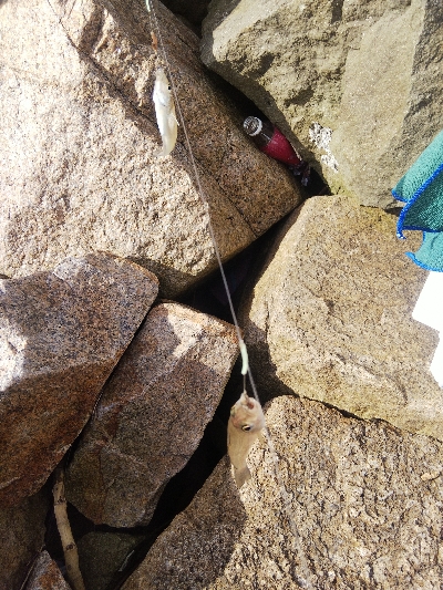 大塩海岸のキス釣り