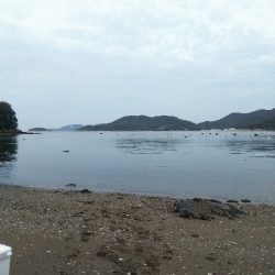 室津のキス釣り