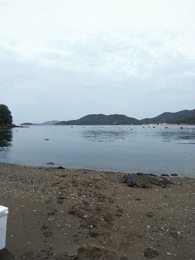 室津のキス釣り