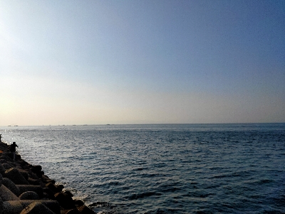 ハマチ45cmぐらい2匹