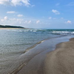 まだまだマゴチ釣れるかなぁ