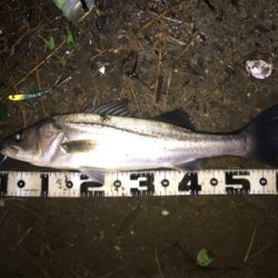 ランカー&つ抜け達成！！！