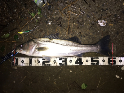 ランカー&つ抜け達成！！！