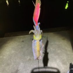 マナーを大切に!