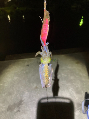 マナーを大切に!