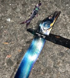 タチウオナイト