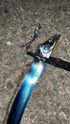 タチウオナイト