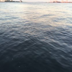 タチウオ狙うも