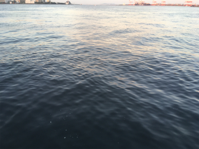 タチウオ狙うも