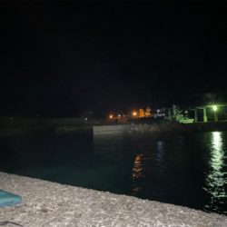 越前、常神アオリランガン