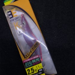 久しぶりのナイトエギング(^.^)