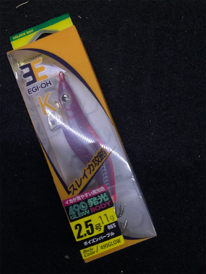 久しぶりのナイトエギング(^.^)