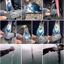 2021ライトゲーム第29戦