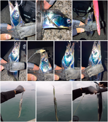 2021ライトゲーム第29戦