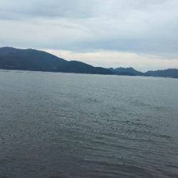 沖漬けが食べたくて