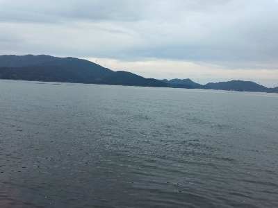 沖漬けが食べたくて