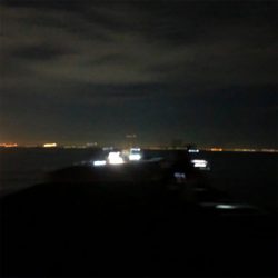 タチウオぼちぼち