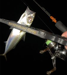 アジングナイト