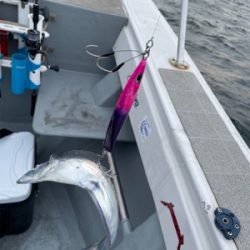 須磨沖明石沖ジギング